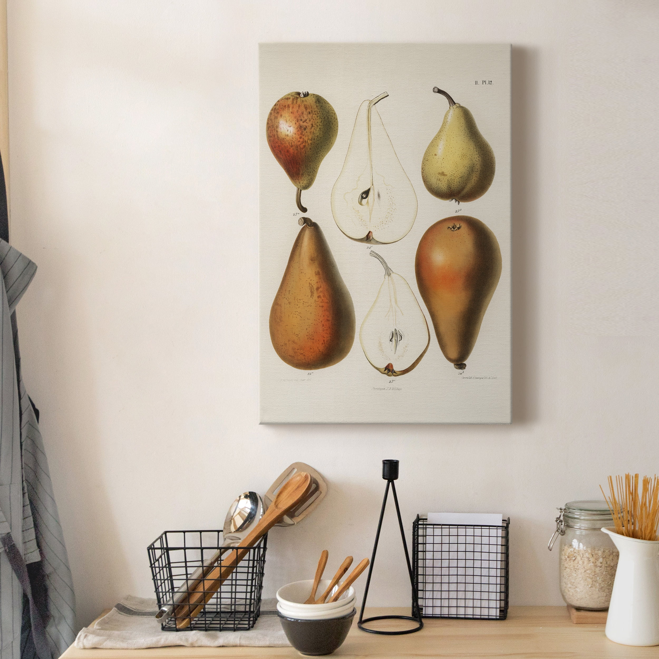 A vintage chromolithograph of fresh pears Premium Gallery Wrapped Canvas - Ready to Hang - 12 x 18
