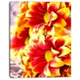 thumbnail image 2 of Red Yellow Flower Background Photo - Large Floral Canvas Artwork, 2 of 4