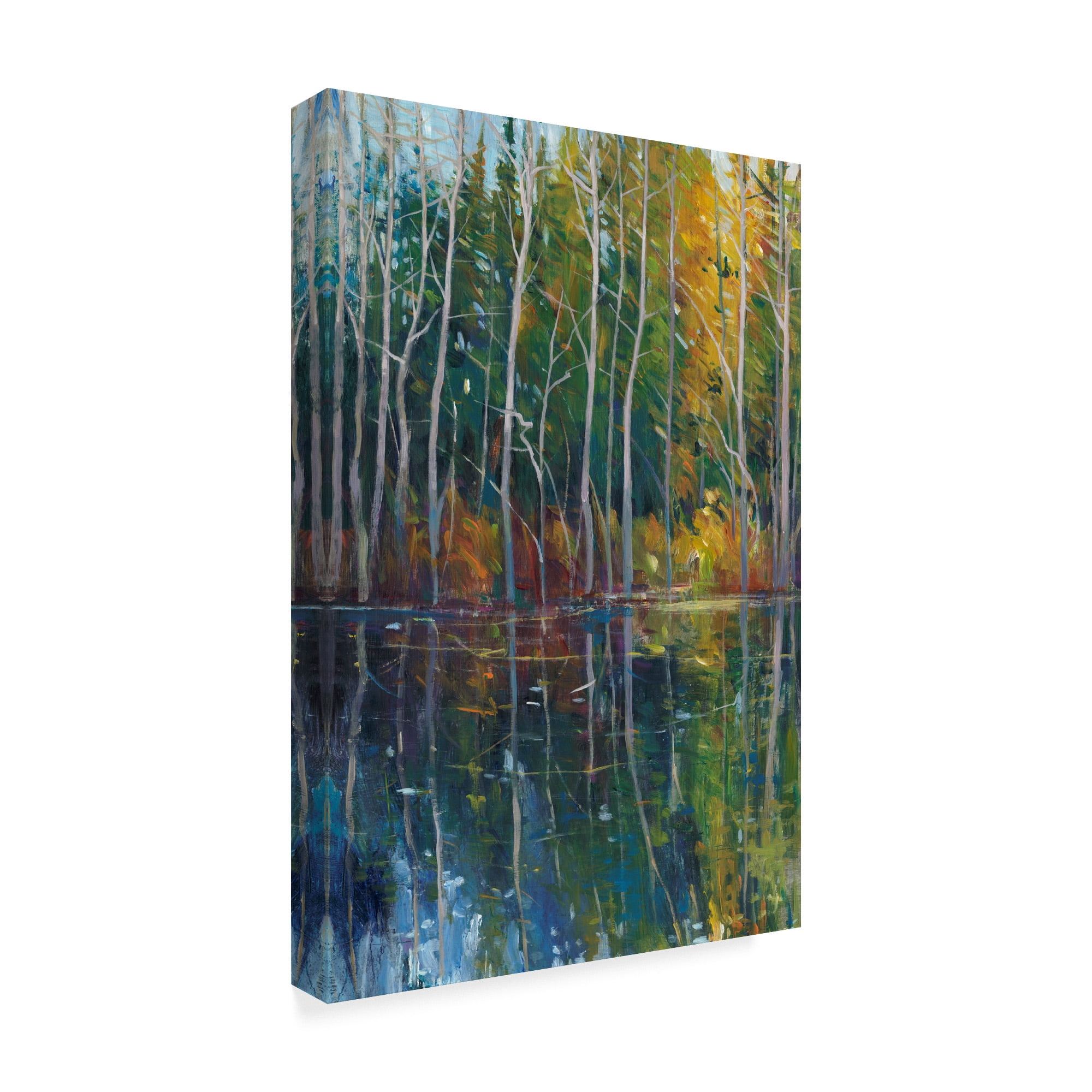 Trademark Fine Art 'Pine Reflection II' Canvas Art by Tim OToole