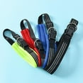 thumbnail image 4 of Applicable aux Grandes Variétés de Collier pour Chien Hybride à Rayures / Photos Haute Résolution Rouge Grand, 4 of 5