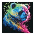 thumbnail image 1 of Cuadros Decorativos 5D DIY Parcial Forma especial Taladro Diamante Pintura Panda Kit Home Deco (WQ007) Wdftyju de costura negro 4 estilos, 1 of 9