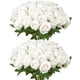 thumbnail image 1 of VEVOR Ramo realista de 60 rosas blancas artificiales para decoración navideña del hogar, 1 of 9