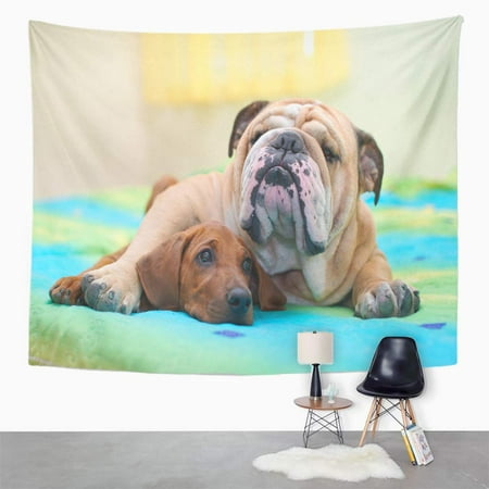 UFAEZU Ridgeback Puppy and English Bulldog Best Dog Friends Relaxing Wall Art Hanging Tapestry Home Decor for Living Room Bedroom Dorm 51x60