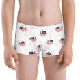 thumbnail image 5 of Yiaed Umbrella Cat Print Boys' Boxer Briefs Cotton Casual Stretch Comfort Boys Boxers - Kids Boxer Briefs Underwear for Boys (6-18)-X-Small, 5 of 5