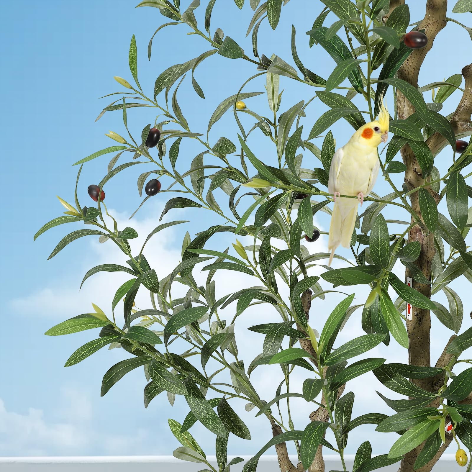 QinaQin 6-Foot-Tall Artificial Olive Tree, a Lifelike Indoor Plant, Comes with a Pot and Basket, Suitable for Home Or Office Décor