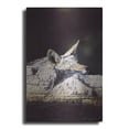 thumbnail image 1 of Luxe Metal Art 'Z-Z-Z-Z-Z-Z' by R. Hed, Metal Wall Art, 24"x36", 1 of 7