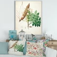 thumbnail image 2 of Designart 'Ancient Botanicals IX' Farmhouse Framed Canvas Wall Art Print, 2 of 5