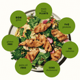 thumbnail image 5 of Daring Plant-Based Frozen Original Chicken Breast Pieces, Vegan, 8 oz, 27 Ct, 5 of 9