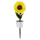thumbnail image 2 of Girasol Solar Ground Light Interruptor automático LED Path Yard Lights para patio Ndcxsfigh Para estrenar, 2 of 9