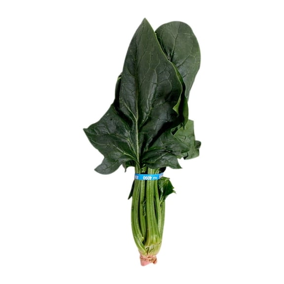 Espinaca por pieza