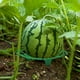 thumbnail image 3 of Bandejas de frutas para horticultura Soporte para melones y calabazas Soporte para sandías de jardín Soporte para enrejado de plantas Soportes para vegetales de jardín para melones Akmoler, 3 of 5