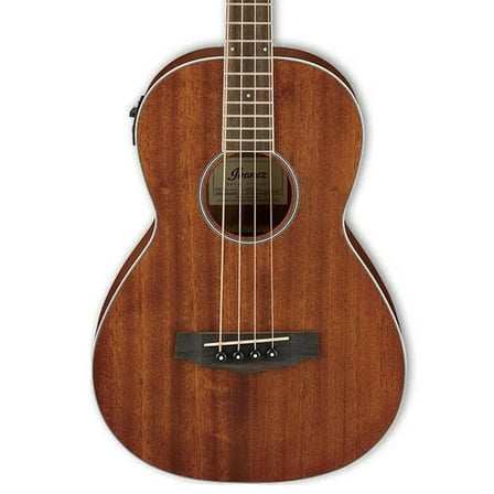 Ibanez PNB14E Acoustic-Electric Bass Guitar