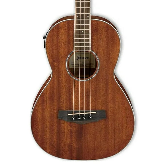 Ibanez PNB14E Acoustic-Electric Bass Guitar