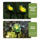 thumbnail image 3 of Luz solar para jardín con forma de animal, para exteriores, para caminos, patios y césped., 3 of 5
