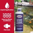 thumbnail image 4 of The Pond Guy LiquidClear Bacterial Pond Cleaner - 16 Ounce, 4 of 9