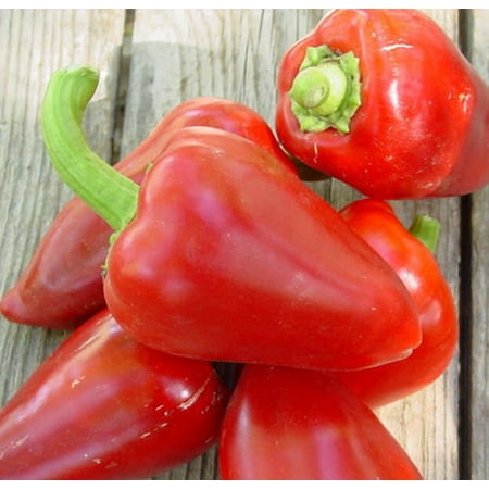 Pepper Sweet Pimento Great Heirloom Vegetable 25 (Best Way To Germinate Pepper Seeds)