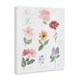 thumbnail image 2 of Stupell Industries Bohemian Labeled Flower Varieties Canvas Art, 24 x 30, by Lucille Price, 2 of 8