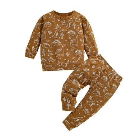 

0-4Y Pull on Closure Pants Hoodie Sweatshirt Dinosaur Outfits Newborn Clothes Set