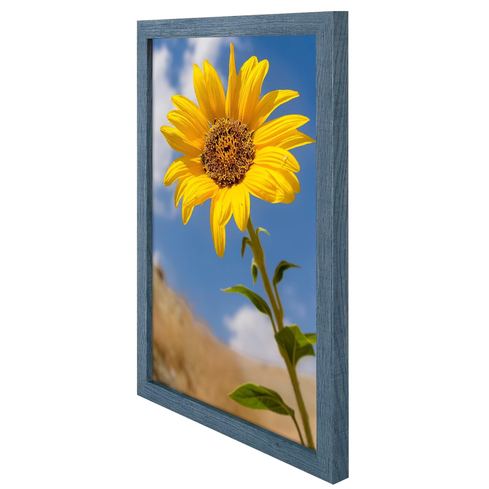 Golden State Art A3 11.7x16.5 Inch Picture Frames with Plexiglass, Blue, Set of 2