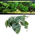 thumbnail image 4 of Reptiles Simulation Leaves Decoration, Fake Leaves Plastic With Powerful Suction Cup For Reptile Tank, 4 of 8