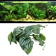 thumbnail image 5 of Hojas Falsas, Reptiles De Plástico Simulación Hojas Decoración 9.8in Color De Hoja Natural Resistente A La Decoloración Con Ventosa Potente Para Tanque De Reptiles, 5 of 8