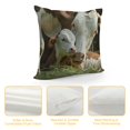thumbnail image 4 of Patifu Cows Grass Decorative Cushion Throw Pillow Cover for Home Couch Living Room Sofa, Double-Sided Print, Spring Theme, 1PC 24x24in, 4 of 5
