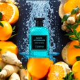 thumbnail image 3 of Extracto de perfume Azzurra Parfums Azure Afternoon, 100 ml, 3 of 4