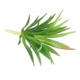 thumbnail image 3 of Unique Bargains Artificial Succulent Plants Small Fake Plants Faux Succulents Plant Unpotted Gradient Green 4 Pack, 3 of 5