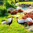 thumbnail image 3 of Estatua de animales de pollo Zulema estacas de jardín decoración acrílico resistente a la intemperie, 3 of 8