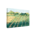 thumbnail image 2 of Ethan Harper 'Mid Summer Shadows II' Canvas Art, 2 of 3