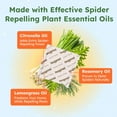thumbnail image 5 of BugMD Spider Shield Repellent Pouches | Plant-Based Indoor & Outdoor Spider Repellent | Safe for Pets & Family | Natural Citronella, Rosemary & Lemongrass Oils | Long-Lasting Spider Protection, 5 of 6