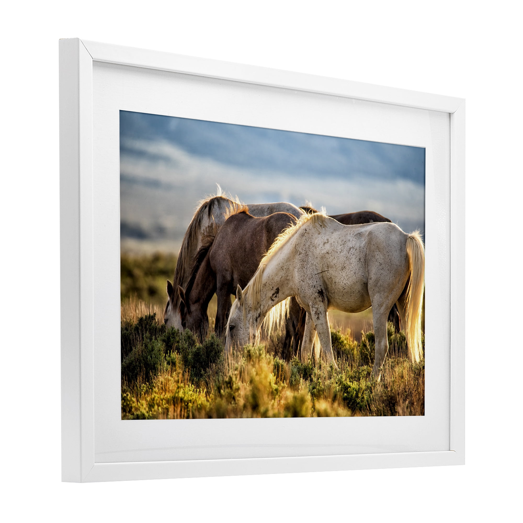 Stupell Industries Equine Evening Graze White Framed Print Under Glass, design by Tim West