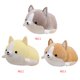 thumbnail image 2 of Bewildely 1 unidad de 35cm, juguete de peluche de perro Corgi, regalo de Navidad encantador para niños, almohada de dibujos animados de animales Animales de peluche y juguetes de peluche gris Bewildely WJ4139-01B, 2 of 6