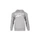 thumbnail image 1 of SUDADERA DAMA REEBOK FRENCH TERRY HOODY HB2294 TEXTIL GRIS Reebok HB2294, 1 of 4