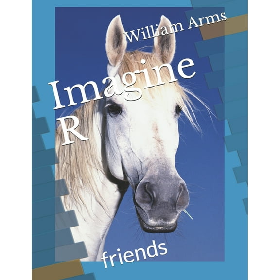 Imagine R Friends (Paperback)