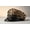 Brown Leopard, variant on Women's Leopard Print PU Leather Newsboy Cap, Studded Punk Beret & Military Flat Top Hat, Adjustable Vintage Gift