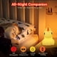 thumbnail image 5 of Luz de noche para bebé, luz de noche de unicornio, luz de noche para niños, luz de noche para bebé, lámpara de noche LED recargable, luz de noche para niños, luz de noche LED recargable, regalo para n, 5 of 5