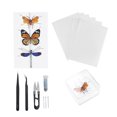 thumbnail image 1 of Boîte à Présentoir, Kit d'Outils Spécimen Transparent Léger pour la Collecte de Bugs, 1 of 8