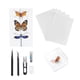 thumbnail image 1 of Kit de herramientas para Muestras de mariposas ANGGREK Acero inoxidable, 1 of 7