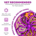 thumbnail image 4 of Outward Hound Fun Feeder Slo Bowl – Large 4‑Cup Capacity, Slow Feeding, Medium to Large Dogs, Non‑Slip, Purple, Flower Pattern, 4 of 8