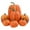 Orange, variant on JeashCHAT 7Pcs Halloween Simulation Pumpkin Decorations Assorted Sizes Fake Pumpkin Model Thanksgiving Fall Decor for Home, White