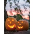 thumbnail image 3 of Burpee Jack-O'-Lantern Heir - Citrouille, 3 of 5