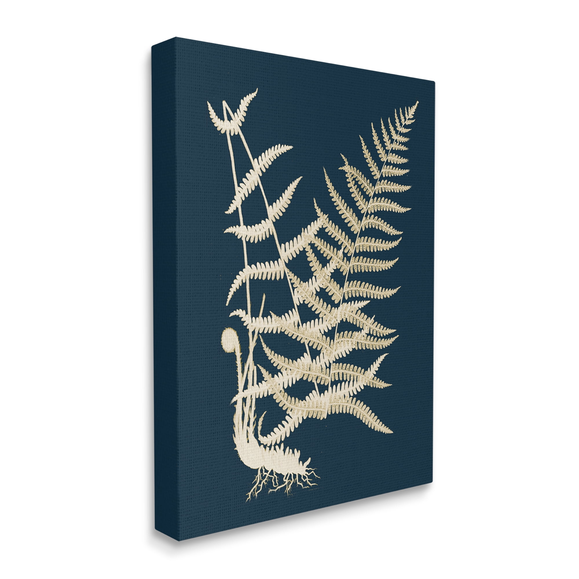 Stupell Industries Layered Fern Leaves Abstract Botanical Roots Shapes Graphic Art Gallery Wrapped Canvas Print Wall Art, Design by Piddix