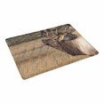 thumbnail image 2 of MKHERT Deer Wilderness Elk in Rocky Mountain National Park Doormat Rug Home Decor Floor Mat Bath Mat 23.6x15.7 inch, 2 of 3