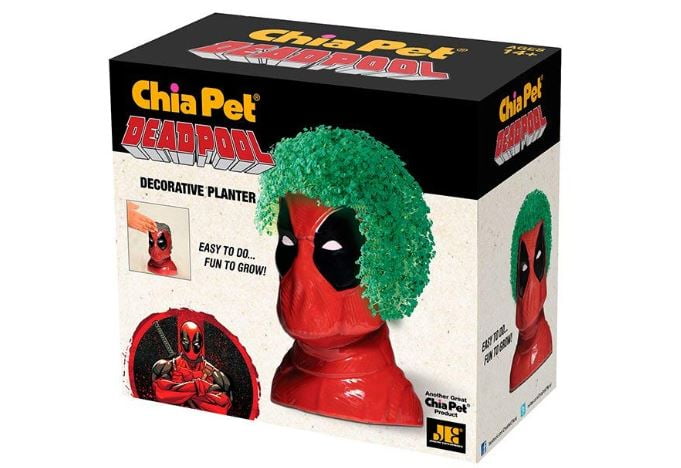 hedgehog chia pet walmart