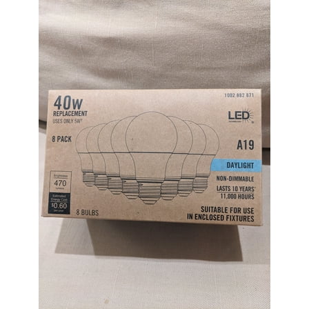 Ecosmart 40w A19 Daylight LED Non-Dimmable LED Light Bulbs