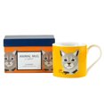 thumbnail image 1 of Tasses d'animaux chat avec boîte-cadeau, ensemble de 4, 1 of 1