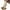 Beige, variant on Cethrio Tights for Girls, Dance Stretch School Uniform Leggings with Socks Gray Size XS