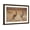 Brown Frame, variant on Art.com Red kangaroo on open plain, Australia Stretched Canvas Print Wall Art by Bruce Thomson, 18" x 12"
