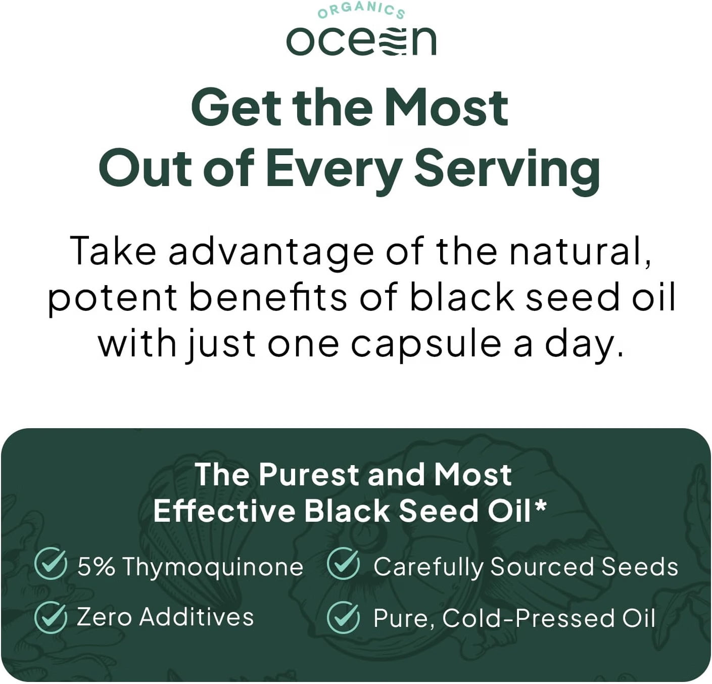 Organics Ocean Better Black Seed Oil Cold Pressed - Pure Nigella Sativa Oil for Immune Support - 5% Thymoquinone - Support Memory, Vitality, and Cellular Health